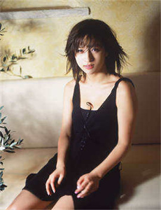 完美案件